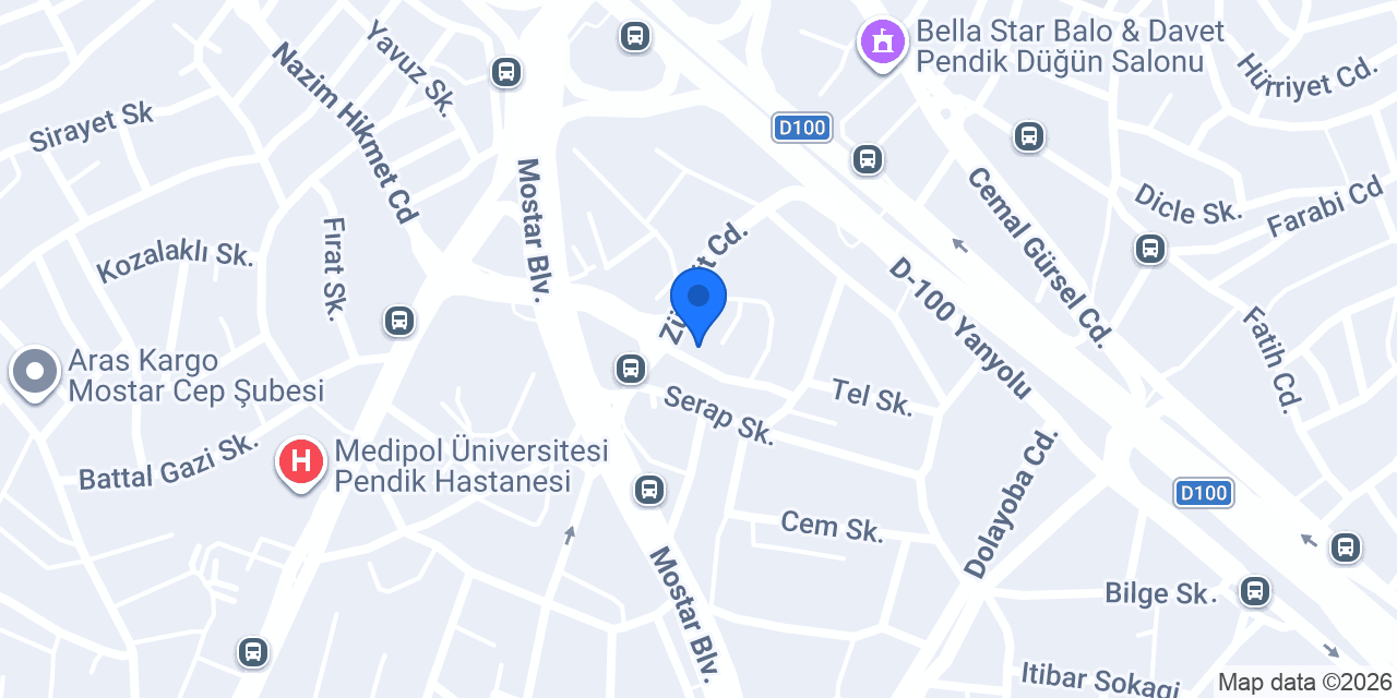 Blue marin Pendik konumu
