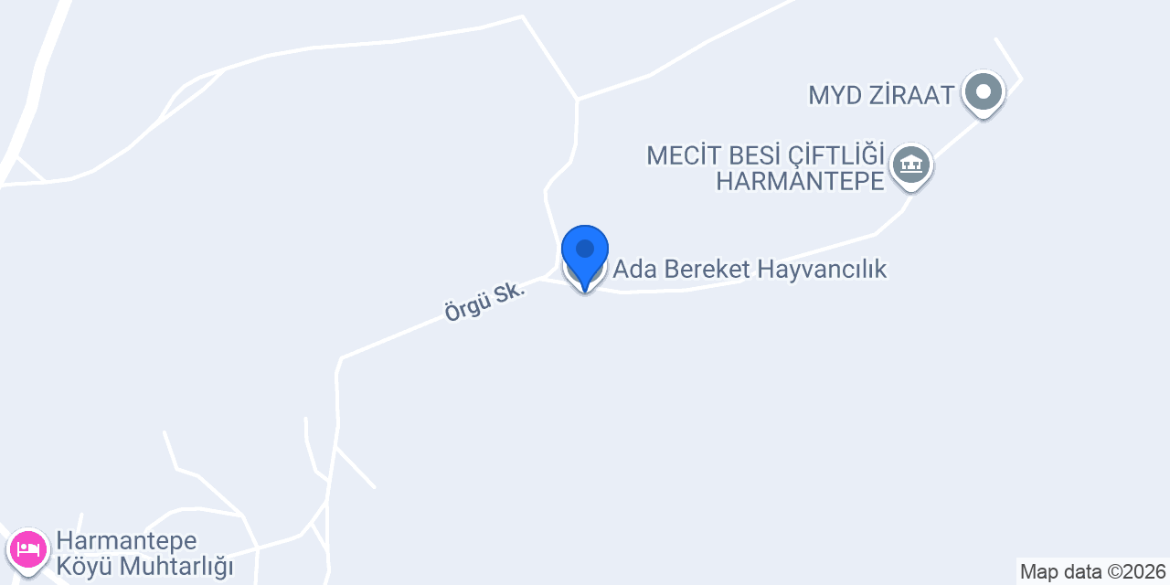 Ada Bereket Hayvancılık konumu