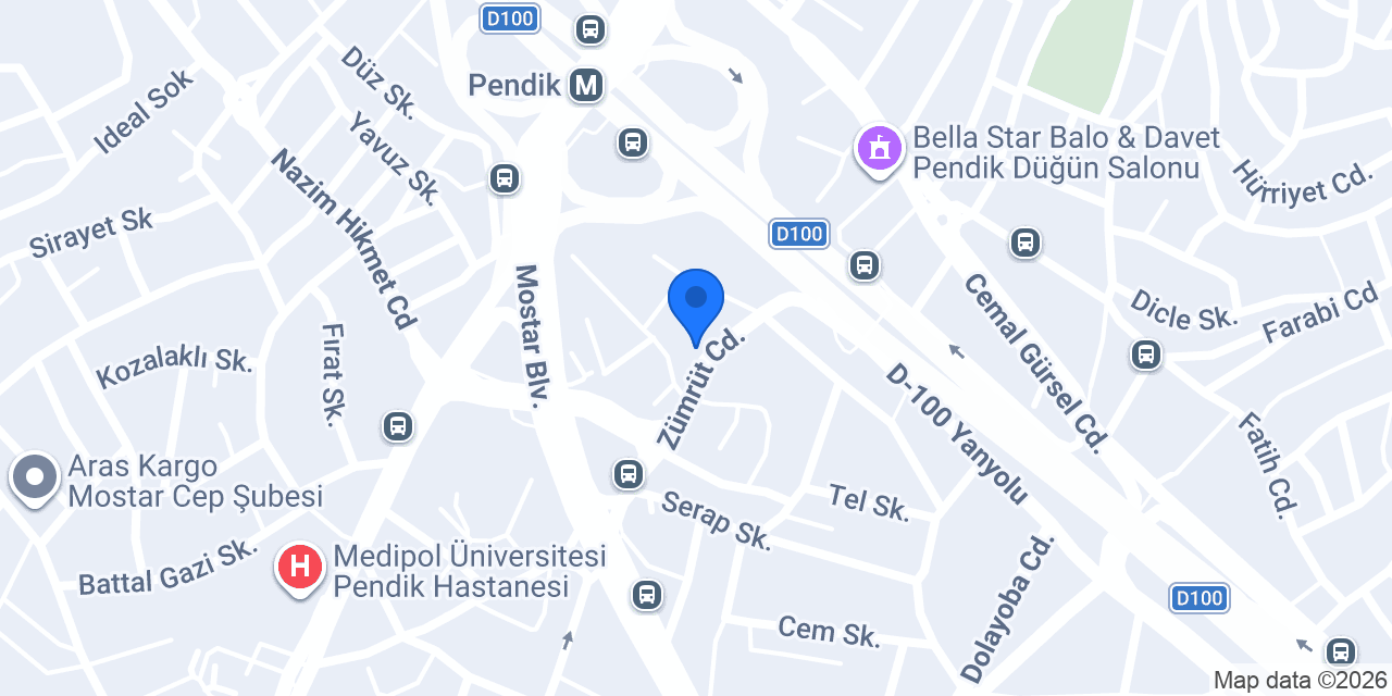 ZEPLİN PENDİK İSTASYONU konumu
