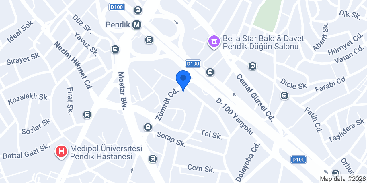 Lale Seyahat Pendik konumu