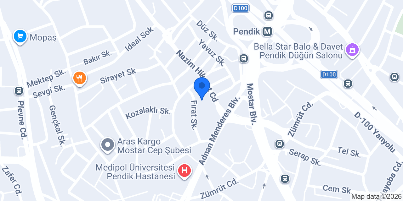 Pendik Ford Servisi konumu