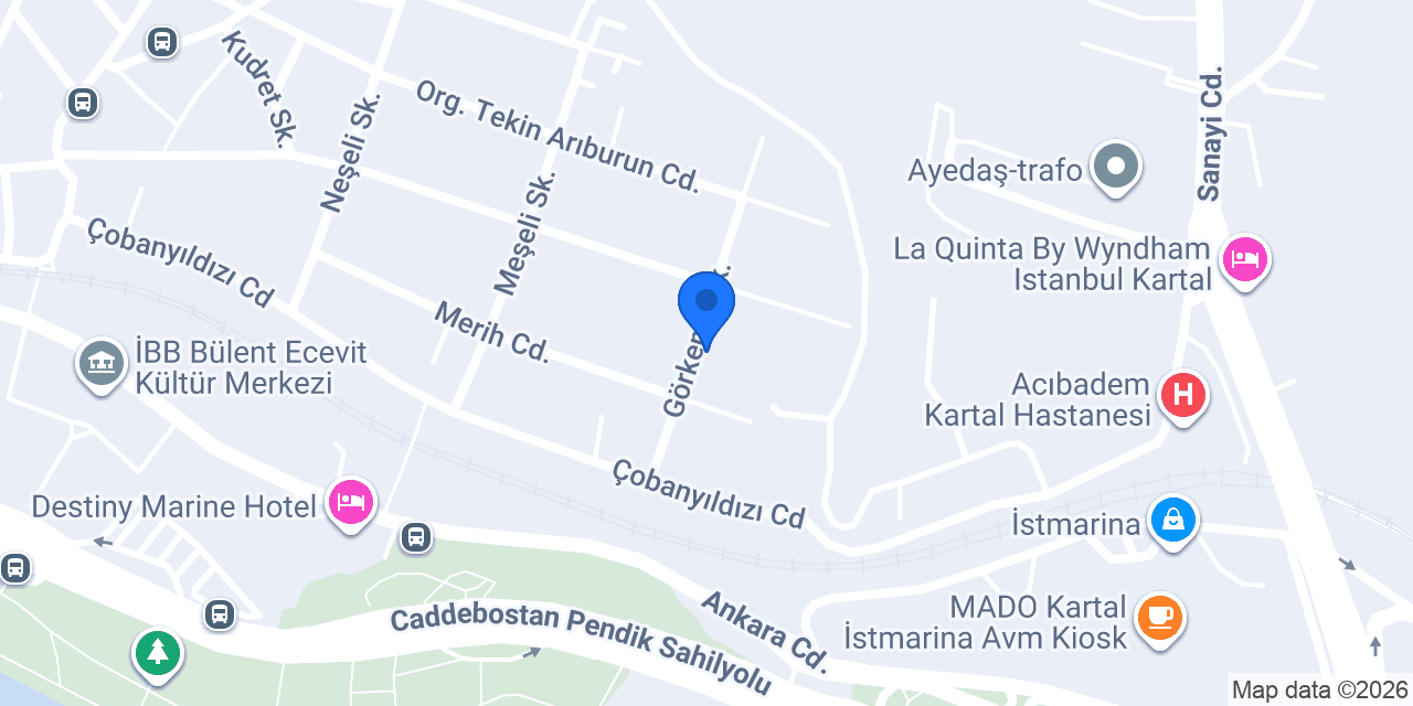 Fasya Terapi konumu