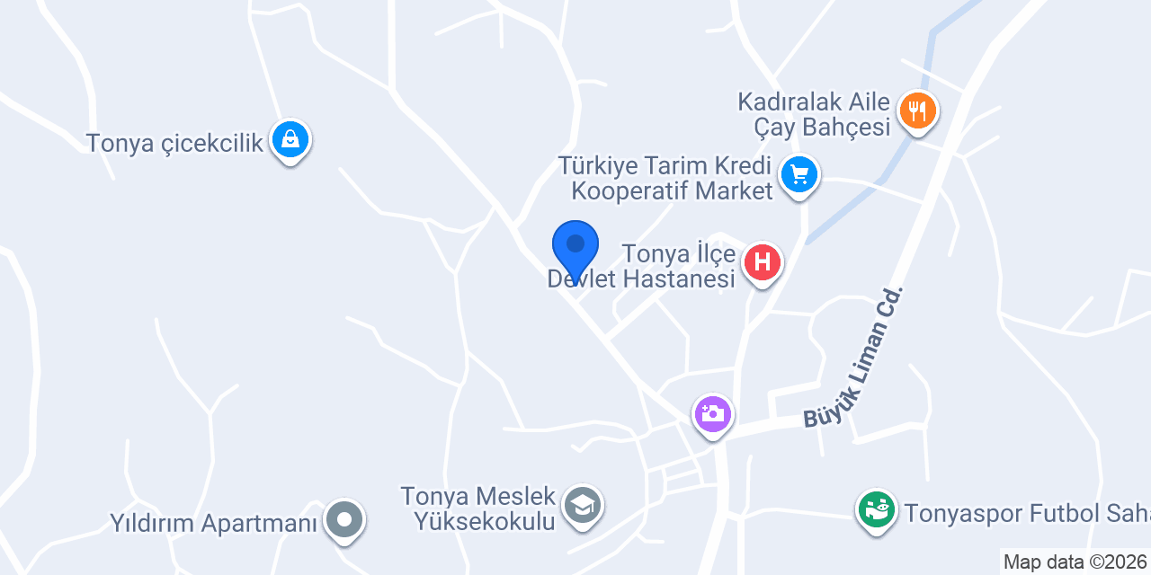 Erdoğanlar Ticaret konumu