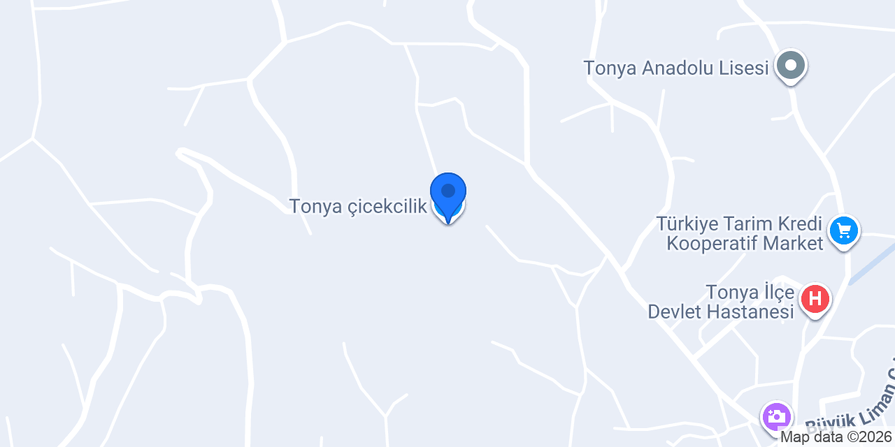 Tonya çicekcilik konumu