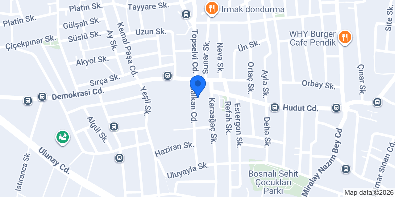 DNS tesisat konumu
