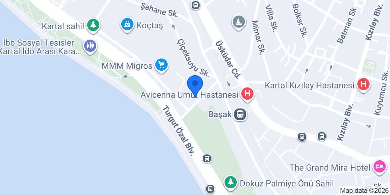 Alba Investment & Danışmanlık konumu