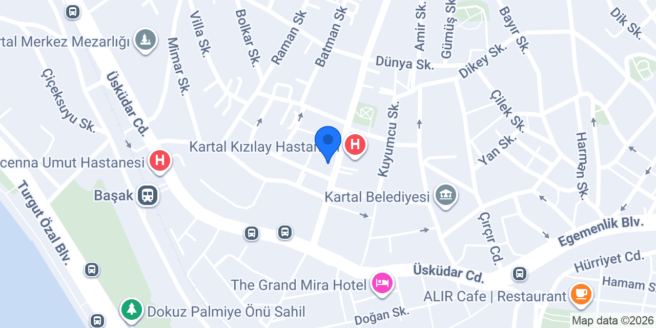 Can Optik konumu