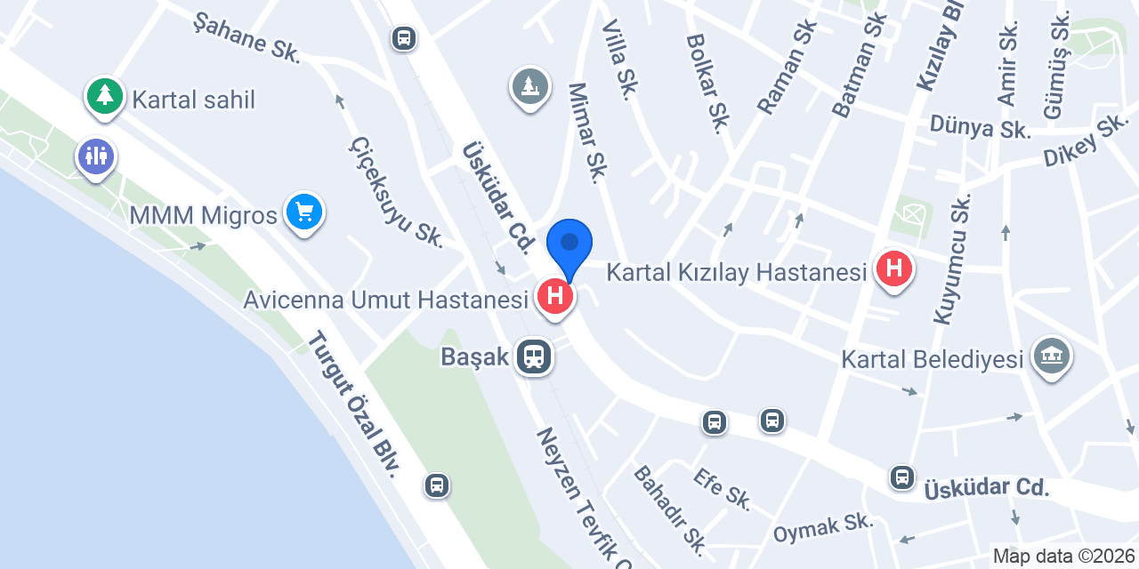 Nilüfer Çiçekçilik konumu
