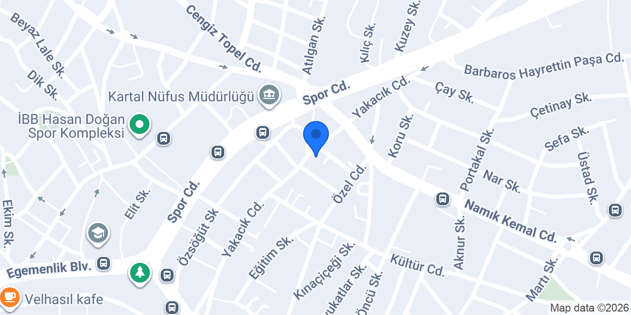 Nar Elektronik konumu