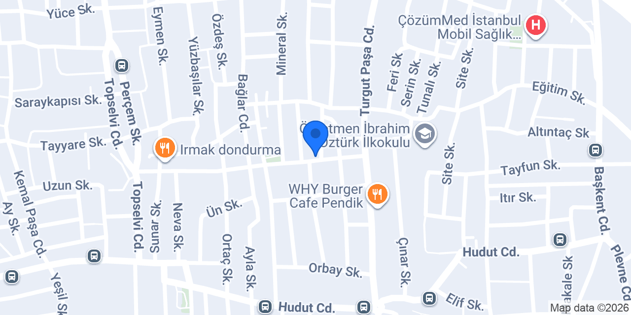 F&D Erkek konumu