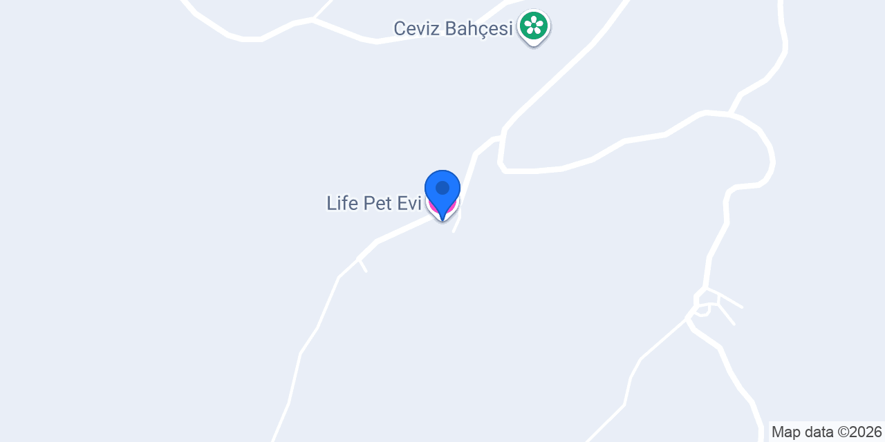 Life Pet Evi konumu
