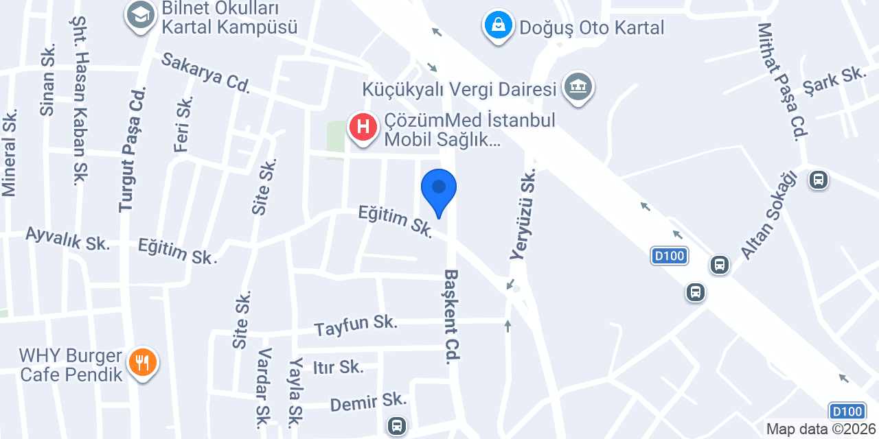 Pasaport Pizza Yeşilbağlar konumu