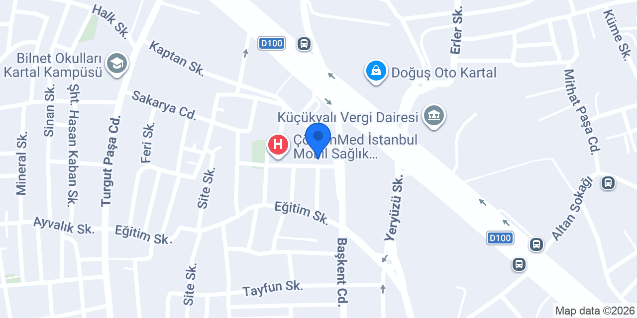 Vis Services - Viss Yurtdışı Eğitim Danışmanlık konumu