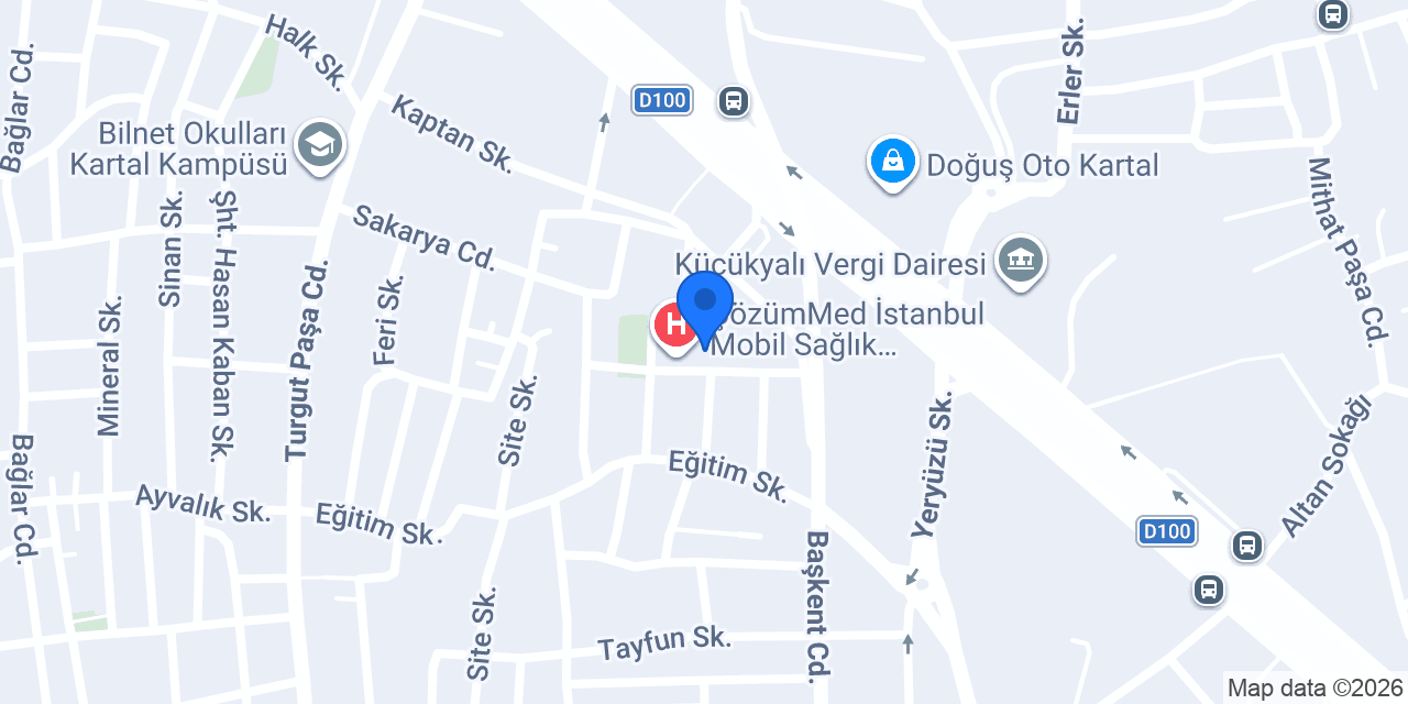 Desita Akademi konumu