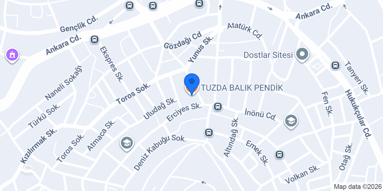 TUZDA BALIK PENDİK konumu