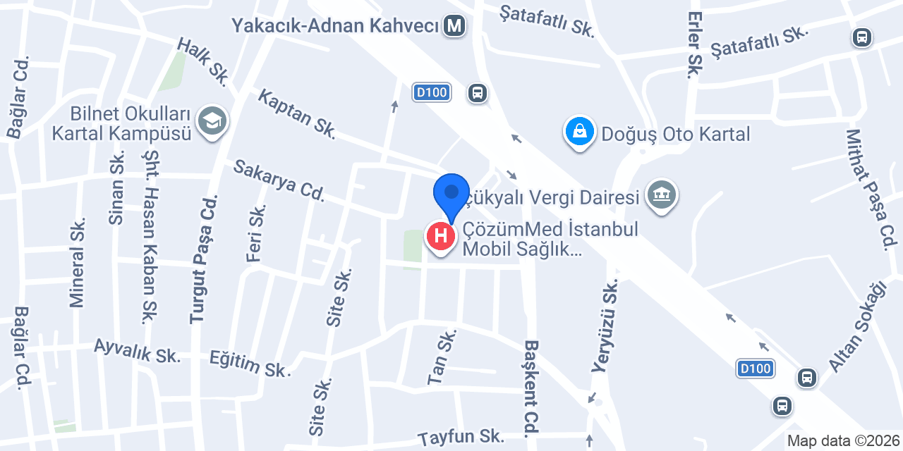 Carroll Eğitim Kartal konumu