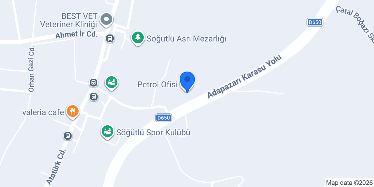 Petrol Ofisi konumu