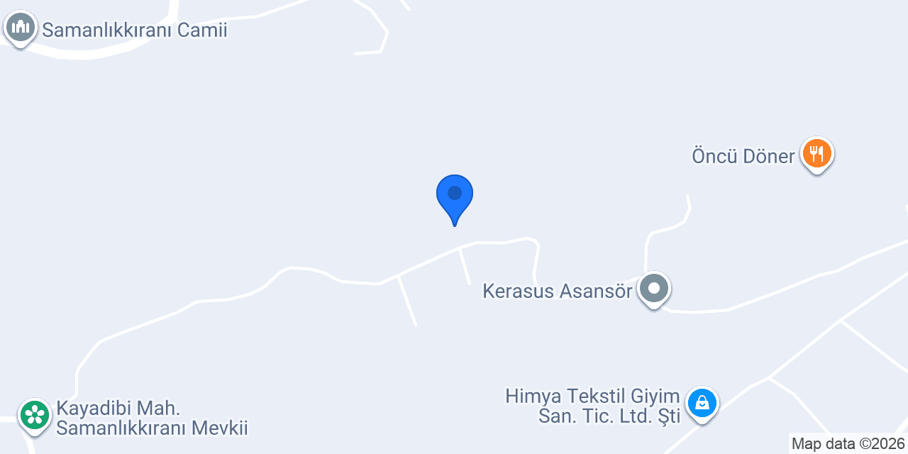 Treenutss konumu