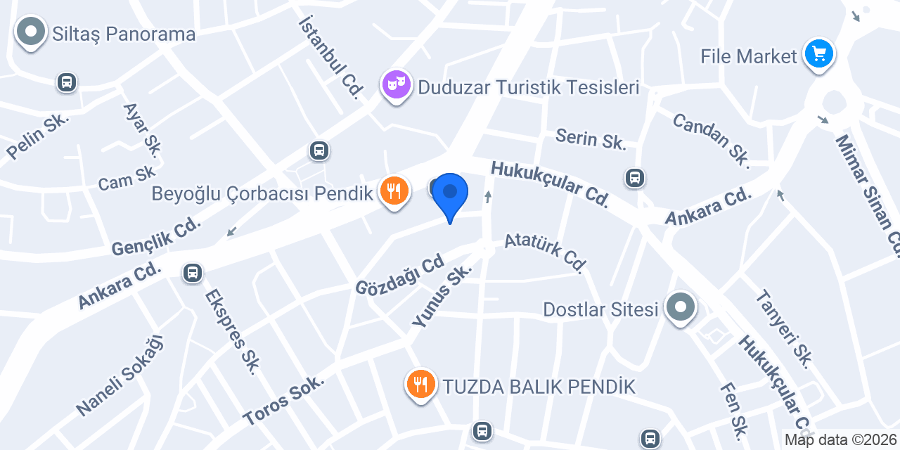 Aslan Oto Tamir Bakım Servisi konumu