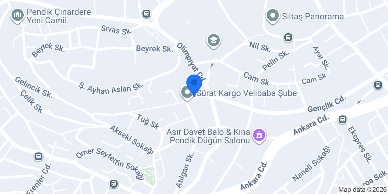 nöropedia konumu