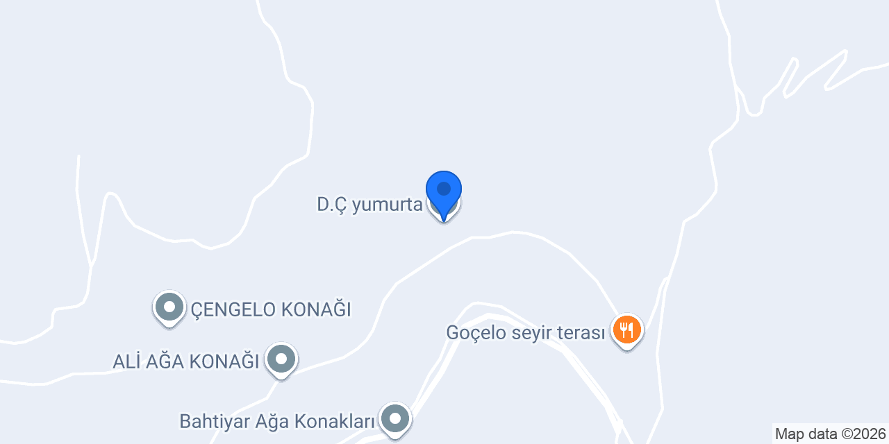D.Ç yumurta konumu