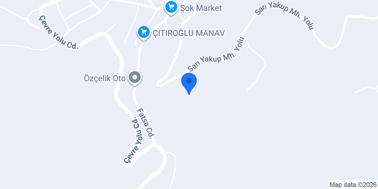 Çamaş İlçe Milli Eğitim Müdürlüğü konumu