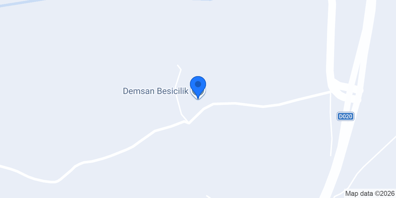 Demsan Besicilik konumu