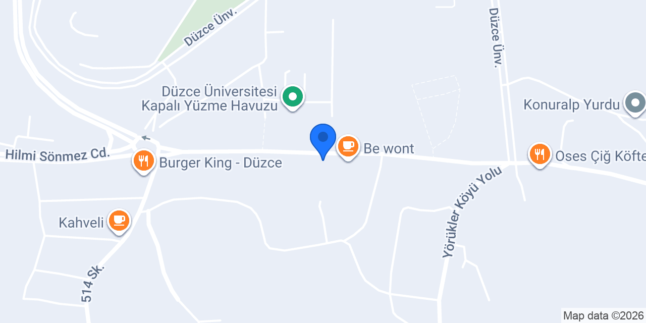 Düzce Üniversite Emlak konumu