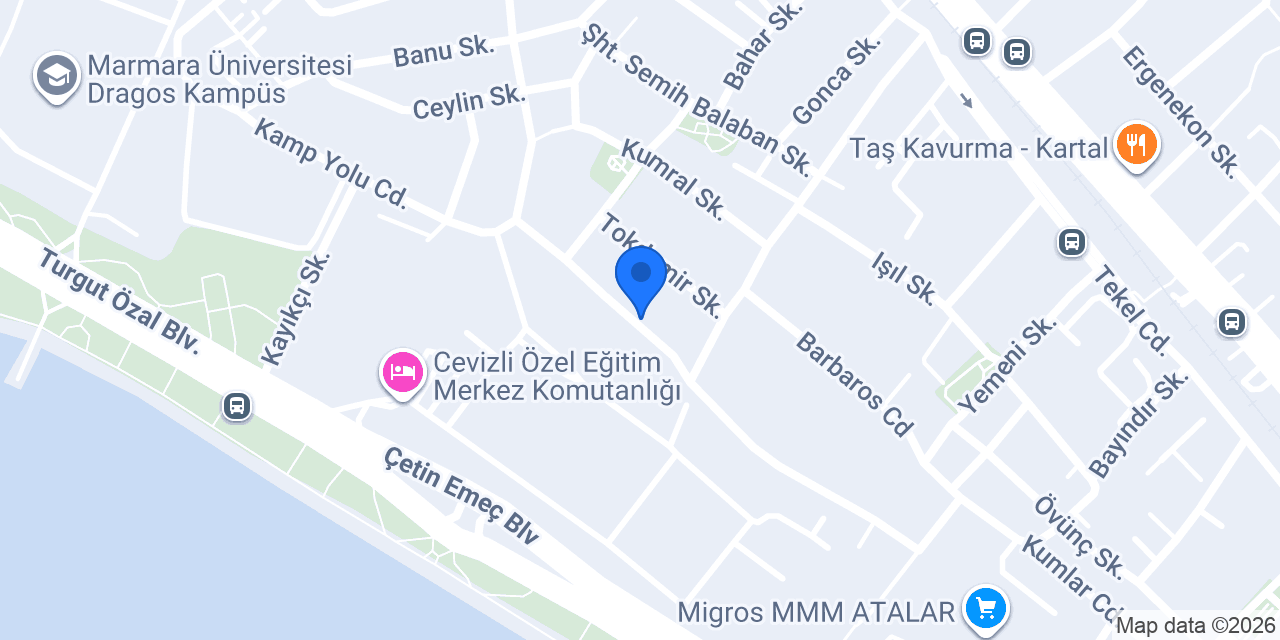 Tayberk Matbaa - Maltepe - Kartal konumu