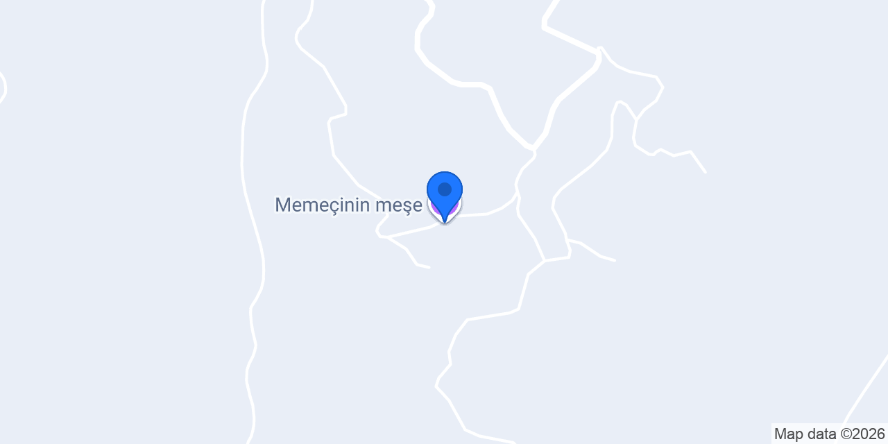 Memeçinin meşe konumu