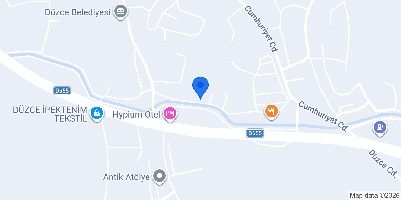Erikli Su Düzce konumu
