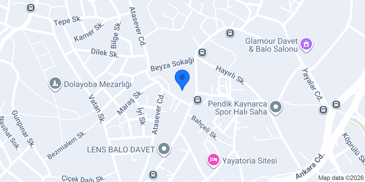 Pasaport Pizza Pendik Yayalar konumu