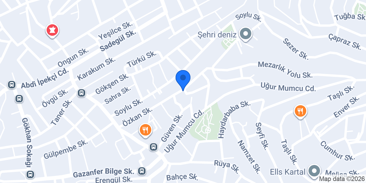 Çınar Aslan home konumu