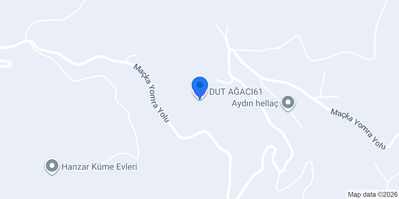 DUT AĞACI61 konumu