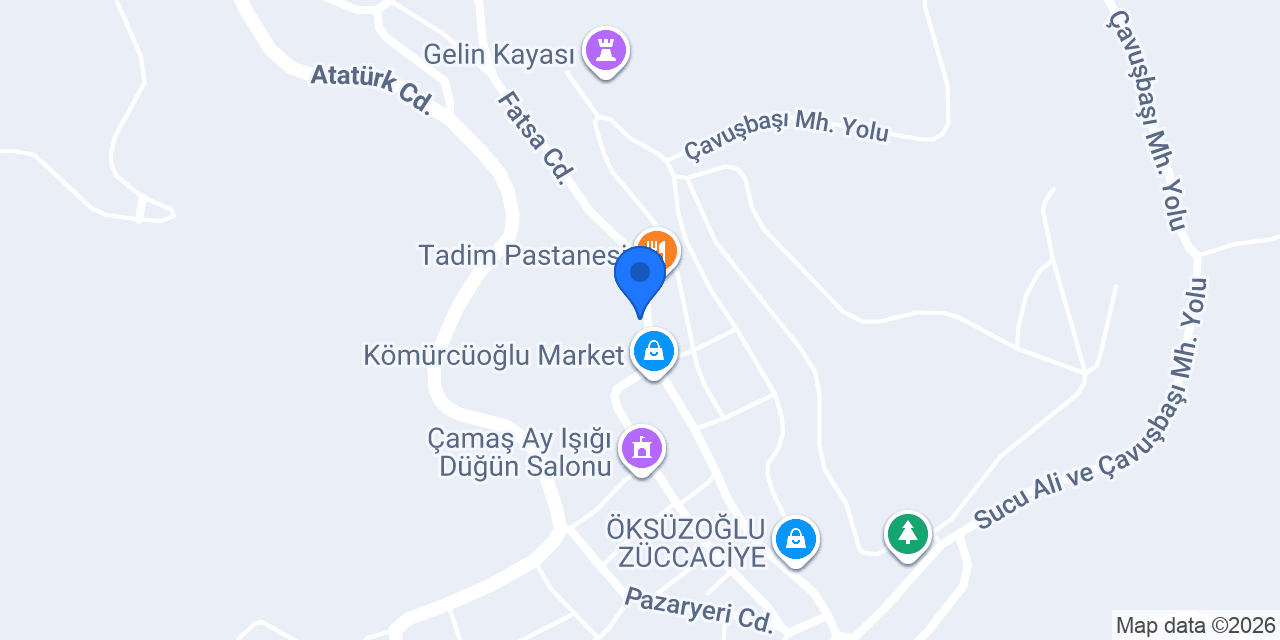Koçkaya Elektrik konumu