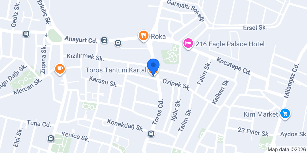 Toros Tantuni Kartal konumu