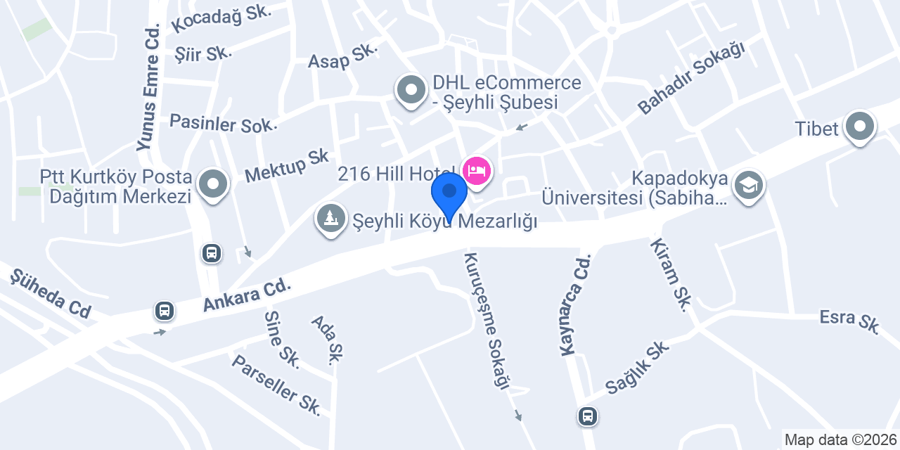 Ziraat Katılım Kurtköy Şubesi konumu