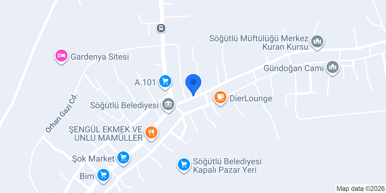 Doğuş Elektronik konumu