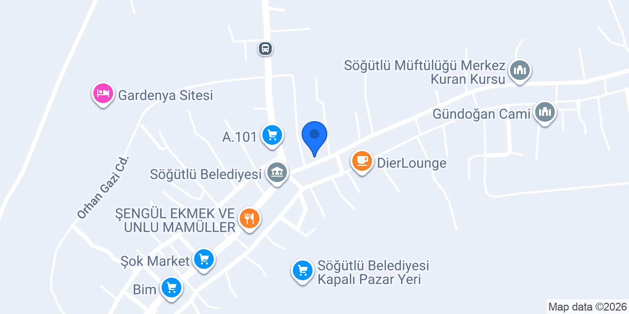 Eczane Buse Sakarya Söğütlü konumu