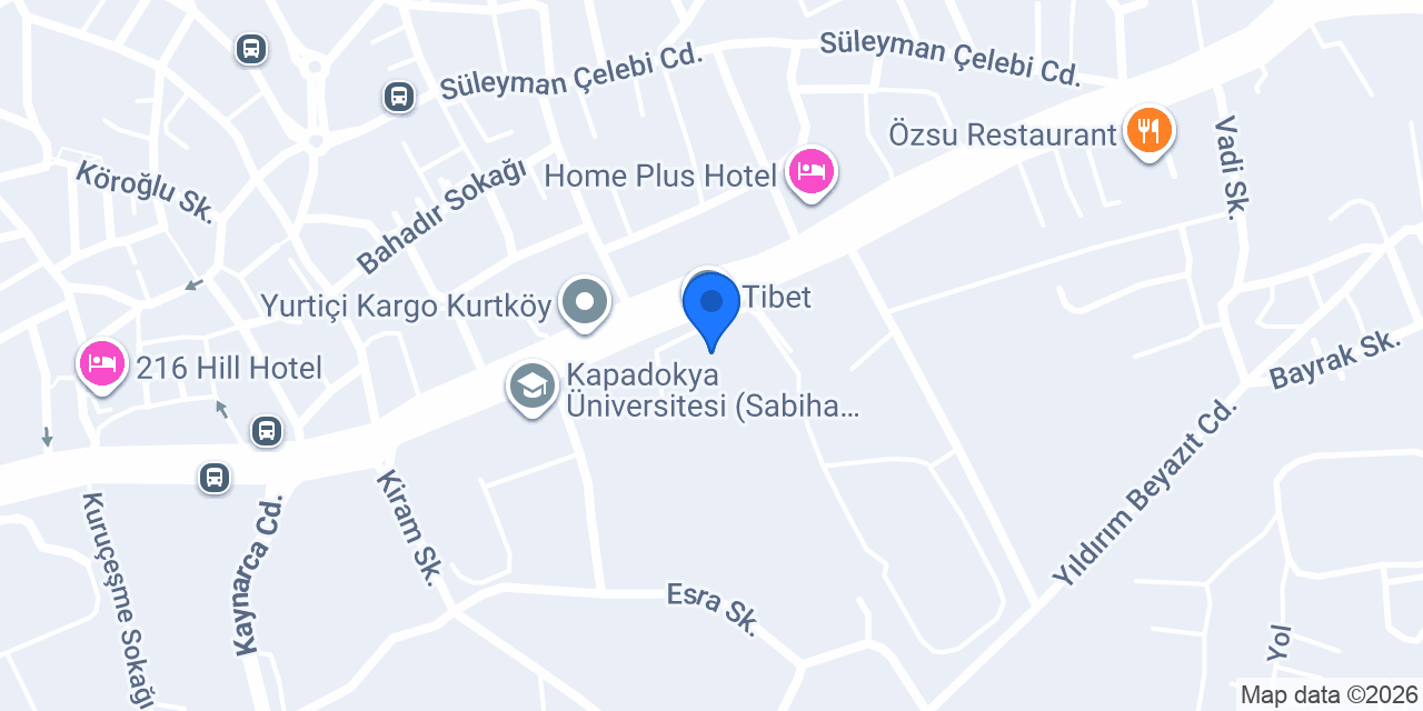 Johnson Elektirik & Elektoronik San A.Ş konumu