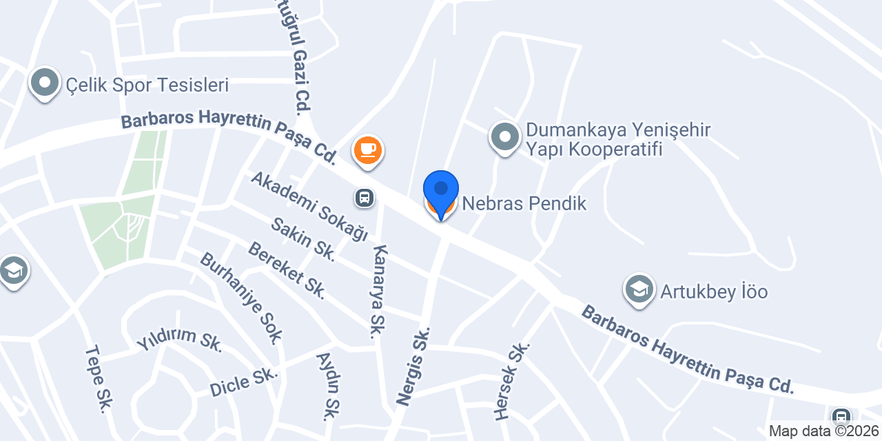 Nebras Pendik konumu