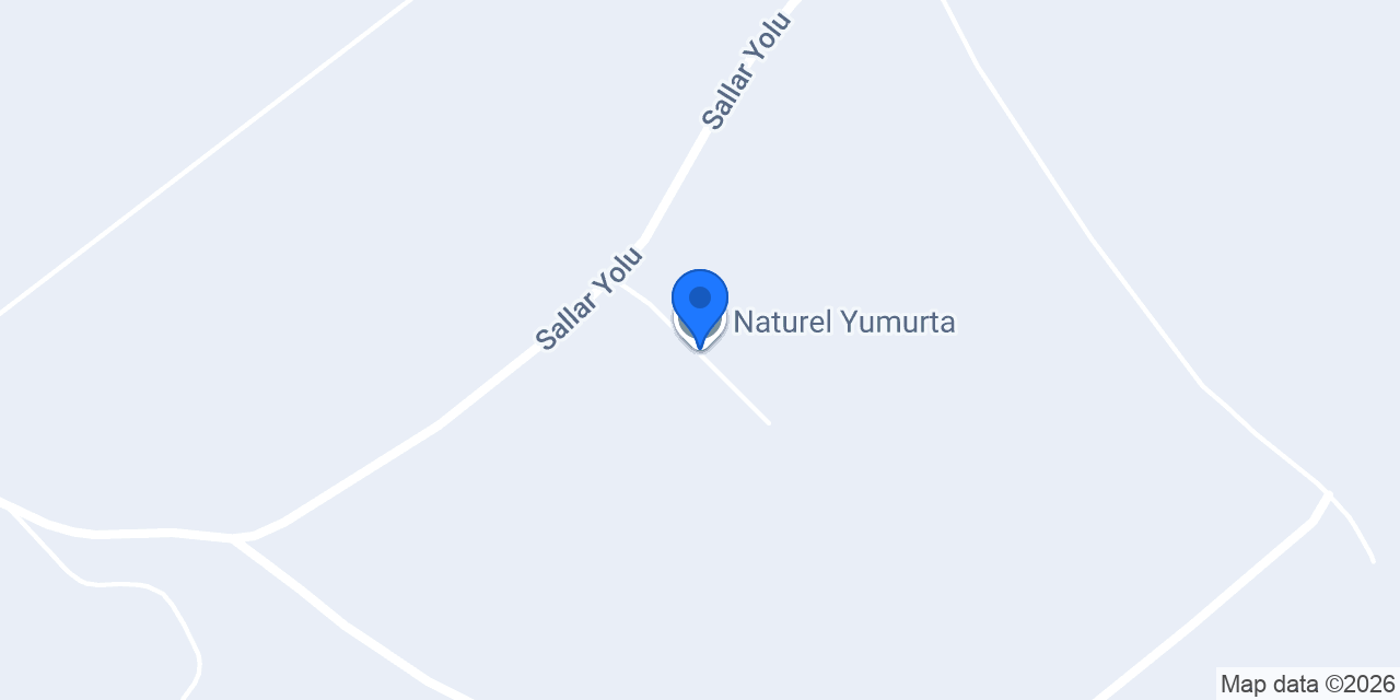 Naturel Yumurta konumu