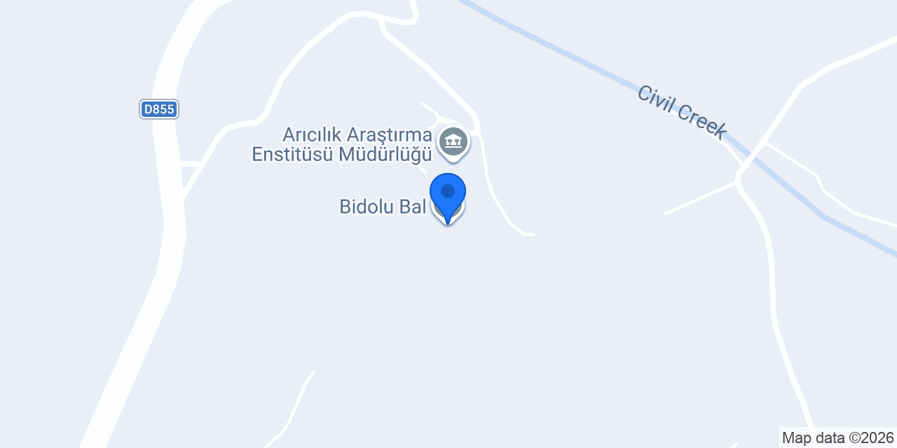 Bidolu Bal konumu
