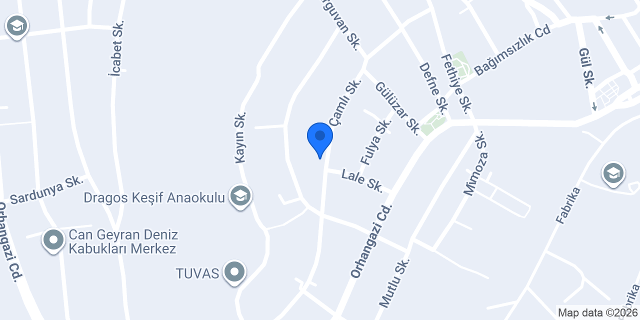 Antika Uzmanı A.Ş konumu