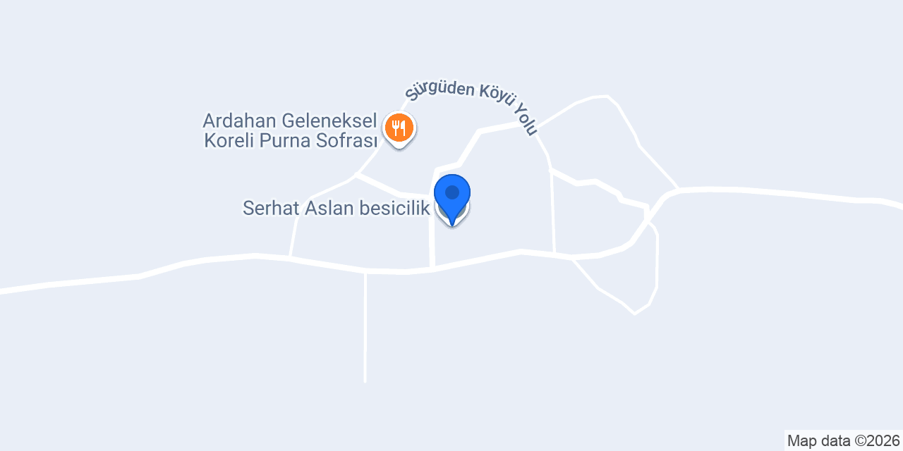Serhat Aslan besicilik konumu