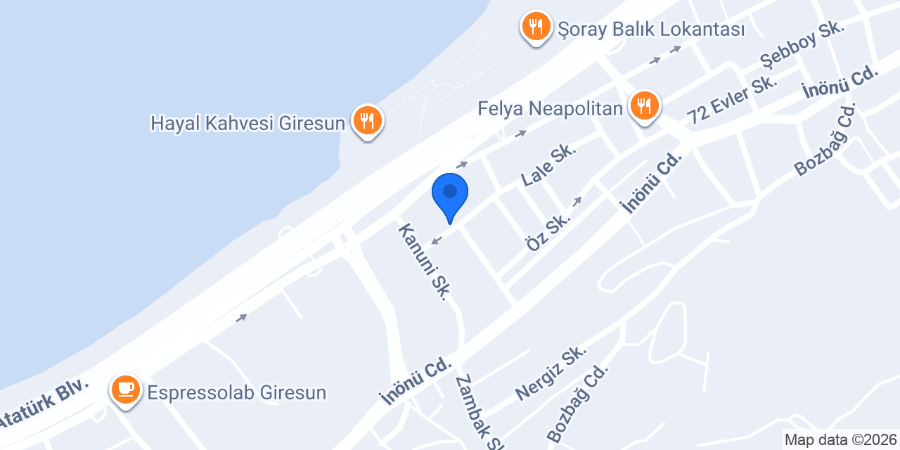 Ant Kuru Temizleme konumu