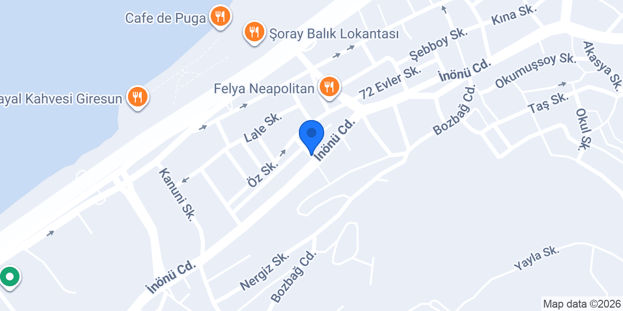 ARSLAN ELEKTRIK konumu