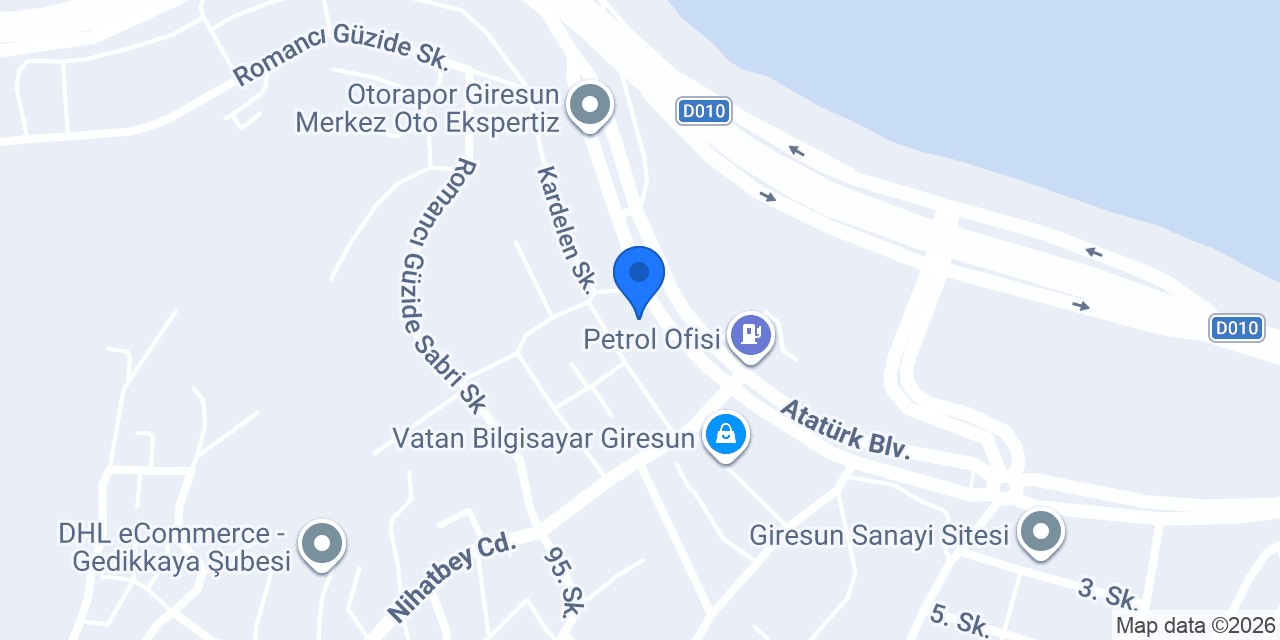 Vizyon Elektronik konumu