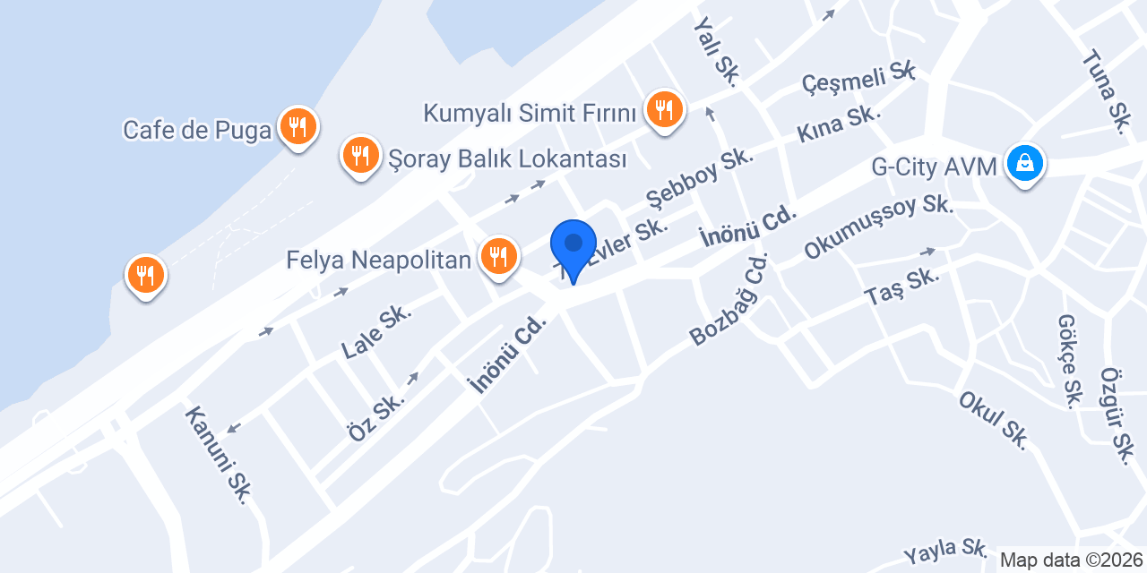 Fizyonova Giresun konumu