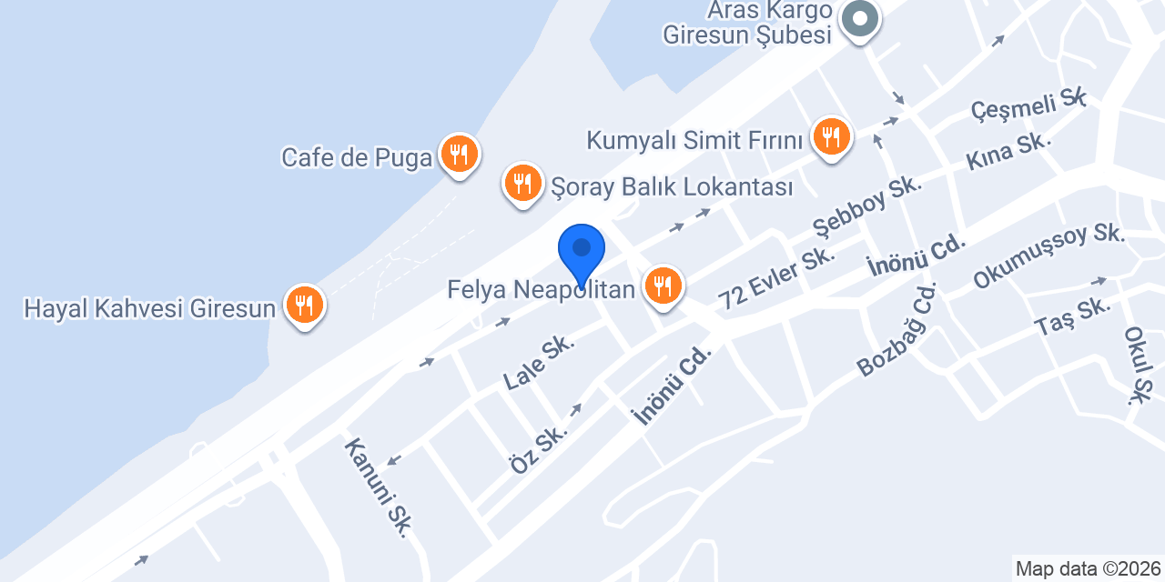 Son Elektrik Güvenlik konumu